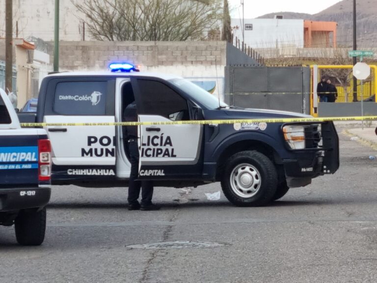 WhatsApp Image 2025-01-27 at 8.51.30 AM