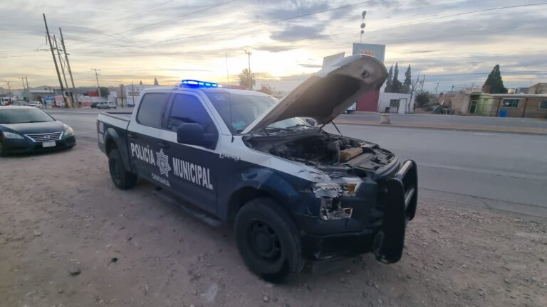 WhatsApp Image 2025-01-28 at 10.03.27 AM