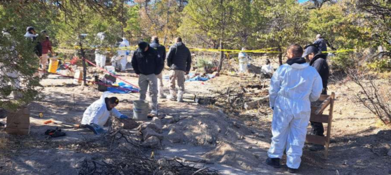 Captura de pantalla 2025-02-04 081231