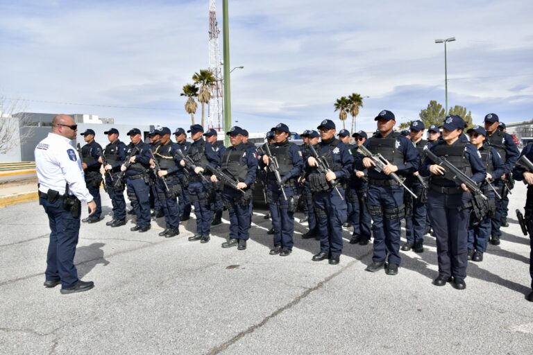 WhatsApp Image 2025-02-01 at 10.57.39 AM