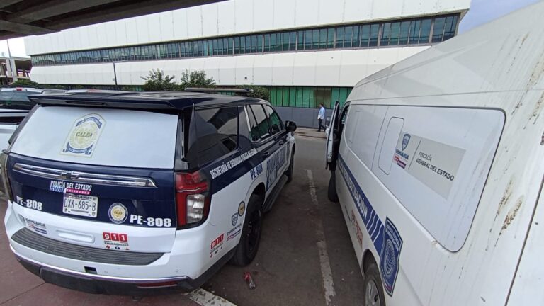 WhatsApp Image 2025-02-10 at 1.56.54 PM (1)