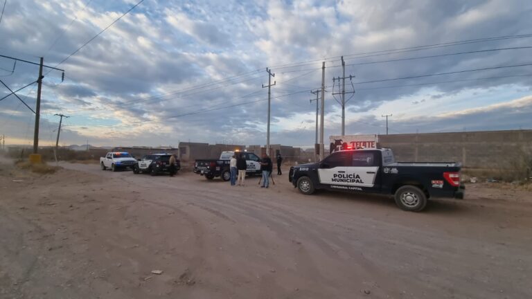 WhatsApp Image 2025-02-10 at 8.16.19 AM