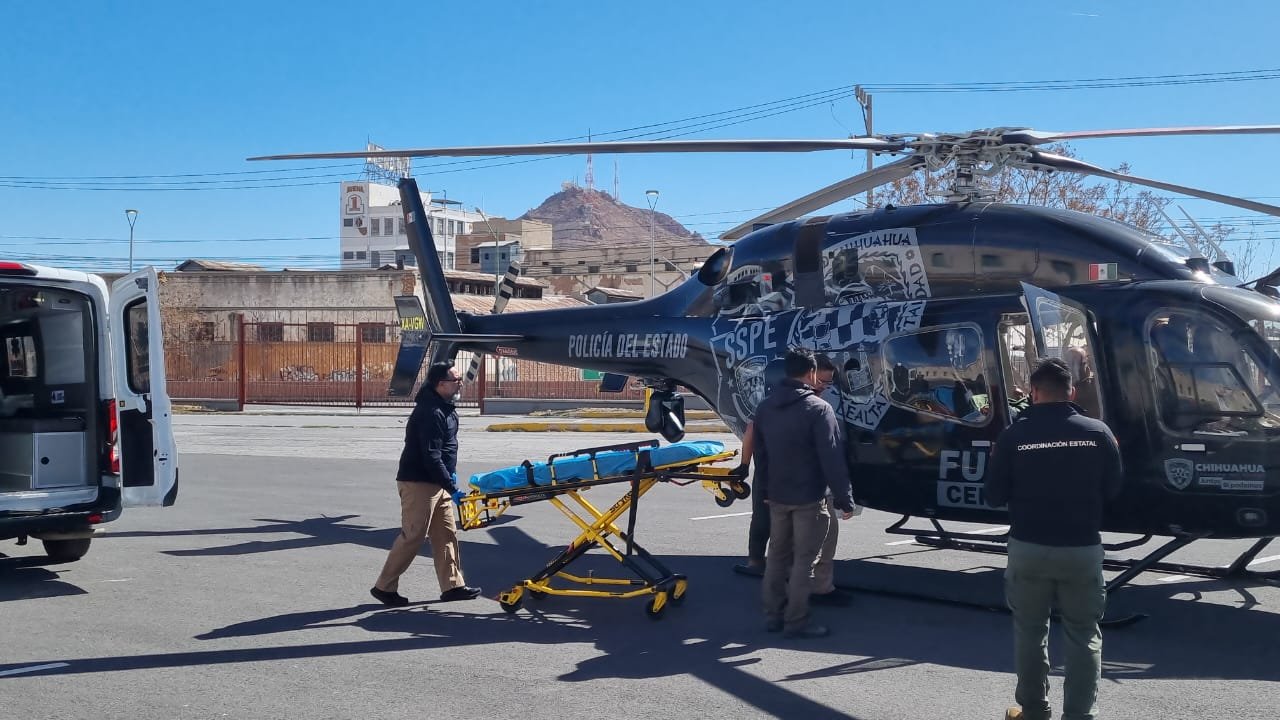 WhatsApp Image 2025-02-12 at 12.30.56 PM