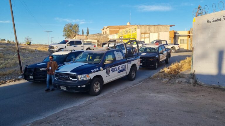 WhatsApp Image 2025-02-12 at 8.53.48 AM