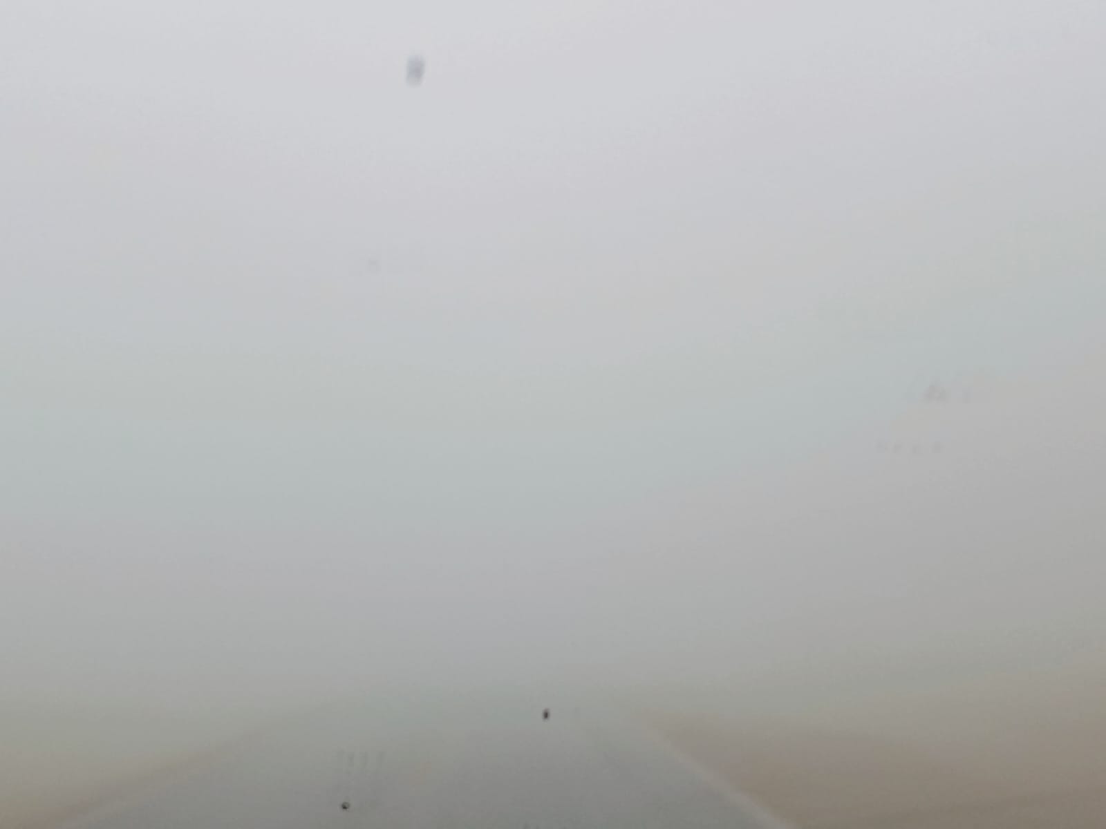 WhatsApp Image 2025-02-14 at 6.55.32 AM