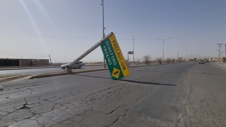 WhatsApp Image 2025-02-15 at 11.43.31 AM