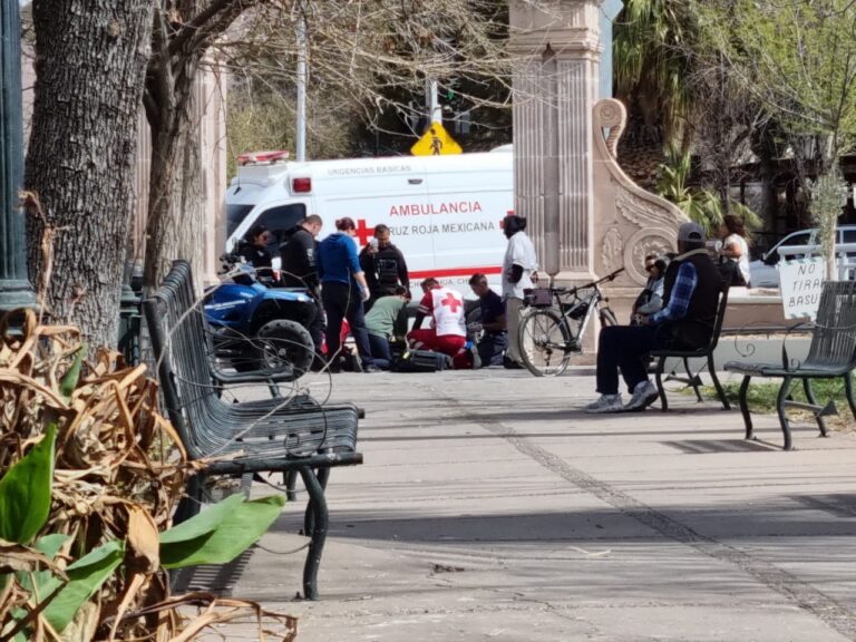 WhatsApp Image 2025-02-17 at 12.31.35 PM