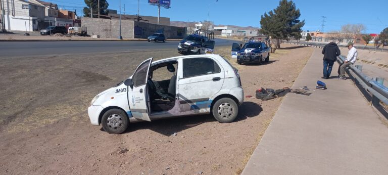 WhatsApp Image 2025-02-18 at 12.19.20 PM