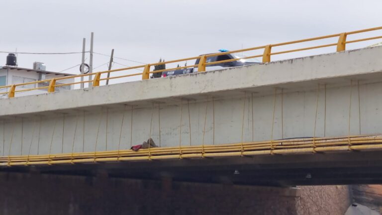 WhatsApp Image 2025-02-26 at 1.16.19 PM