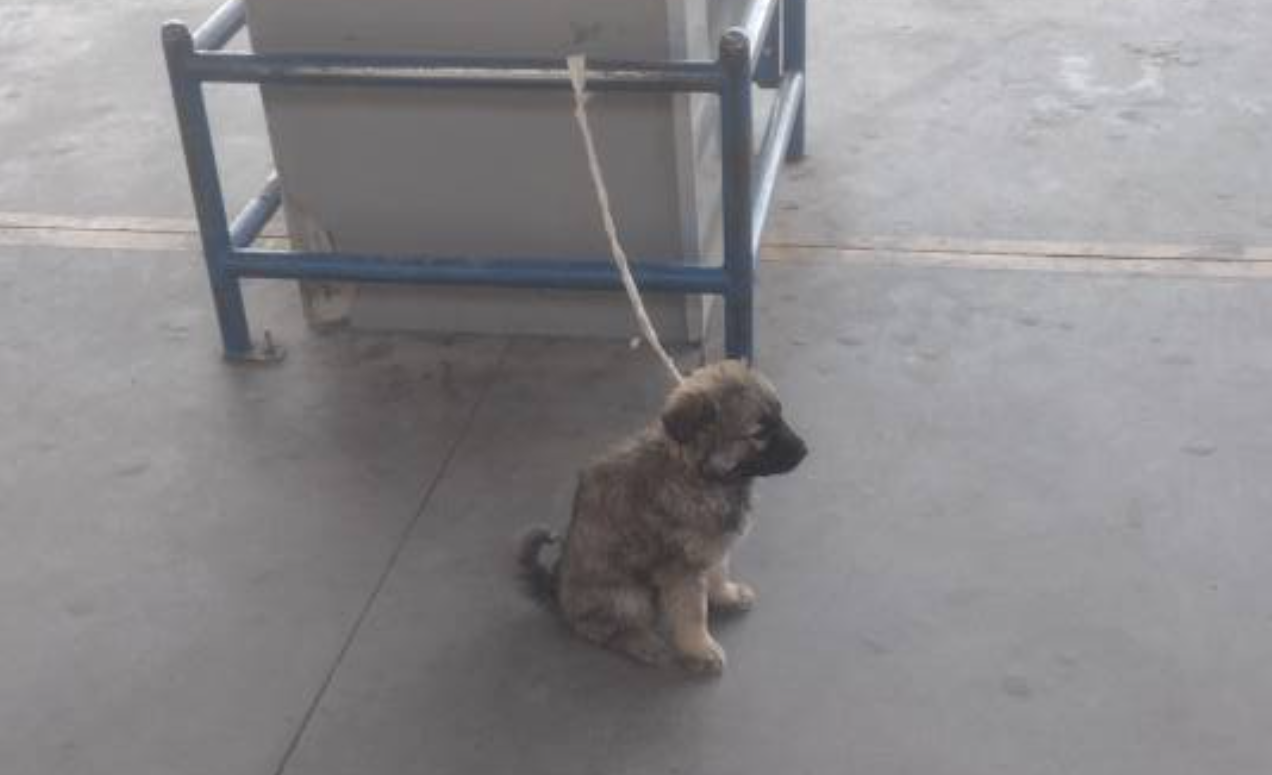 Captura de pantalla 2025-03-03 111637