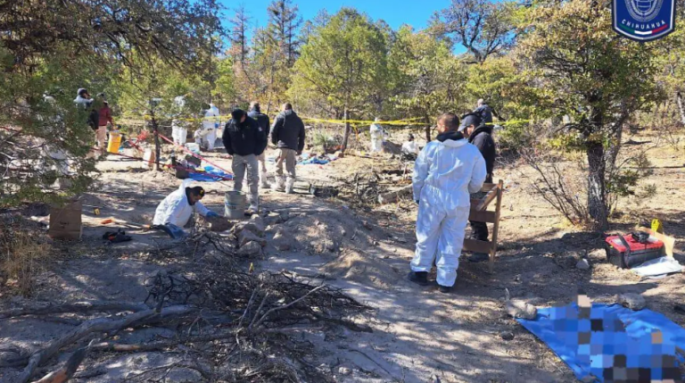 Captura de pantalla 2025-03-19 172344