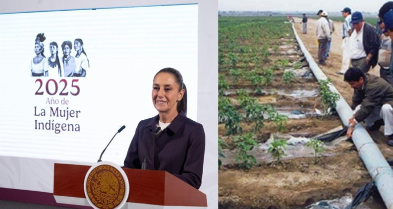 Captura de pantalla 2025-03-27 123342