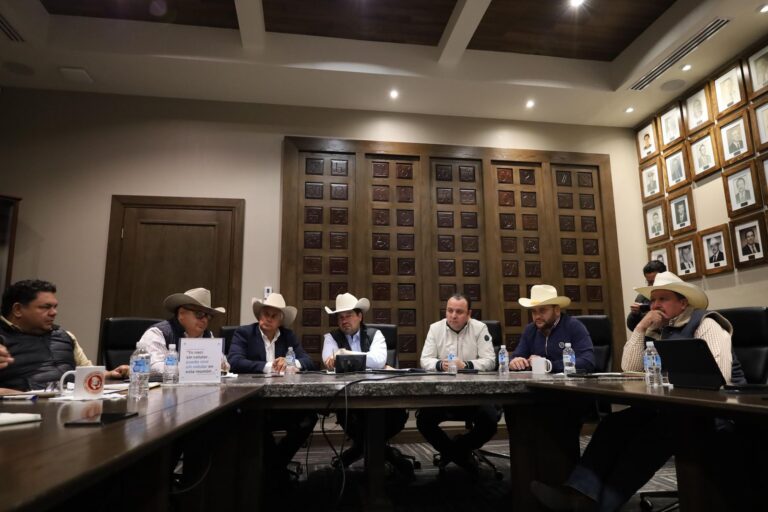 WhatsApp Image 2025-02-12 at 1.03.05 PM