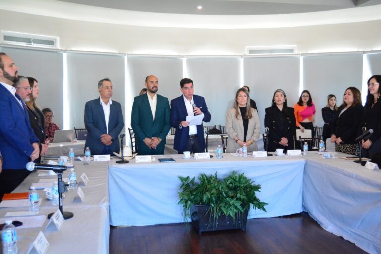 WhatsApp Image 2025-02-12 at 12.03.29 PM