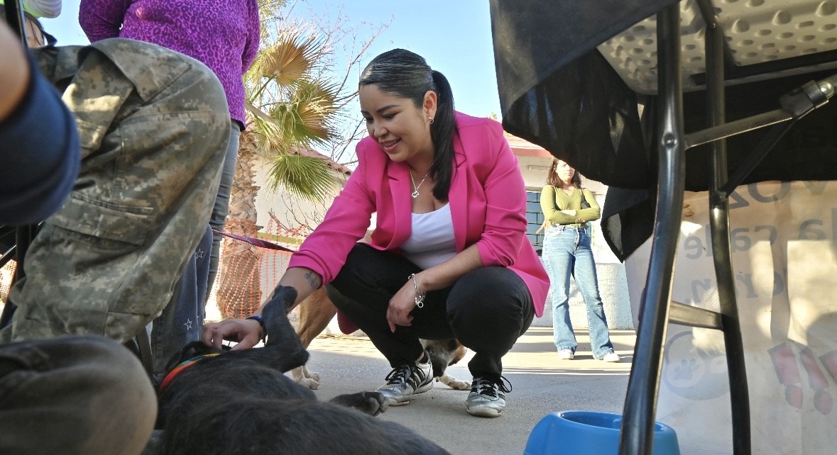 WhatsApp Image 2025-02-27 at 11.35.44 AM (1)