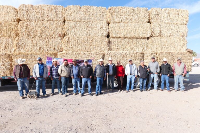 WhatsApp Image 2025-03-01 at 10.16.47 AM