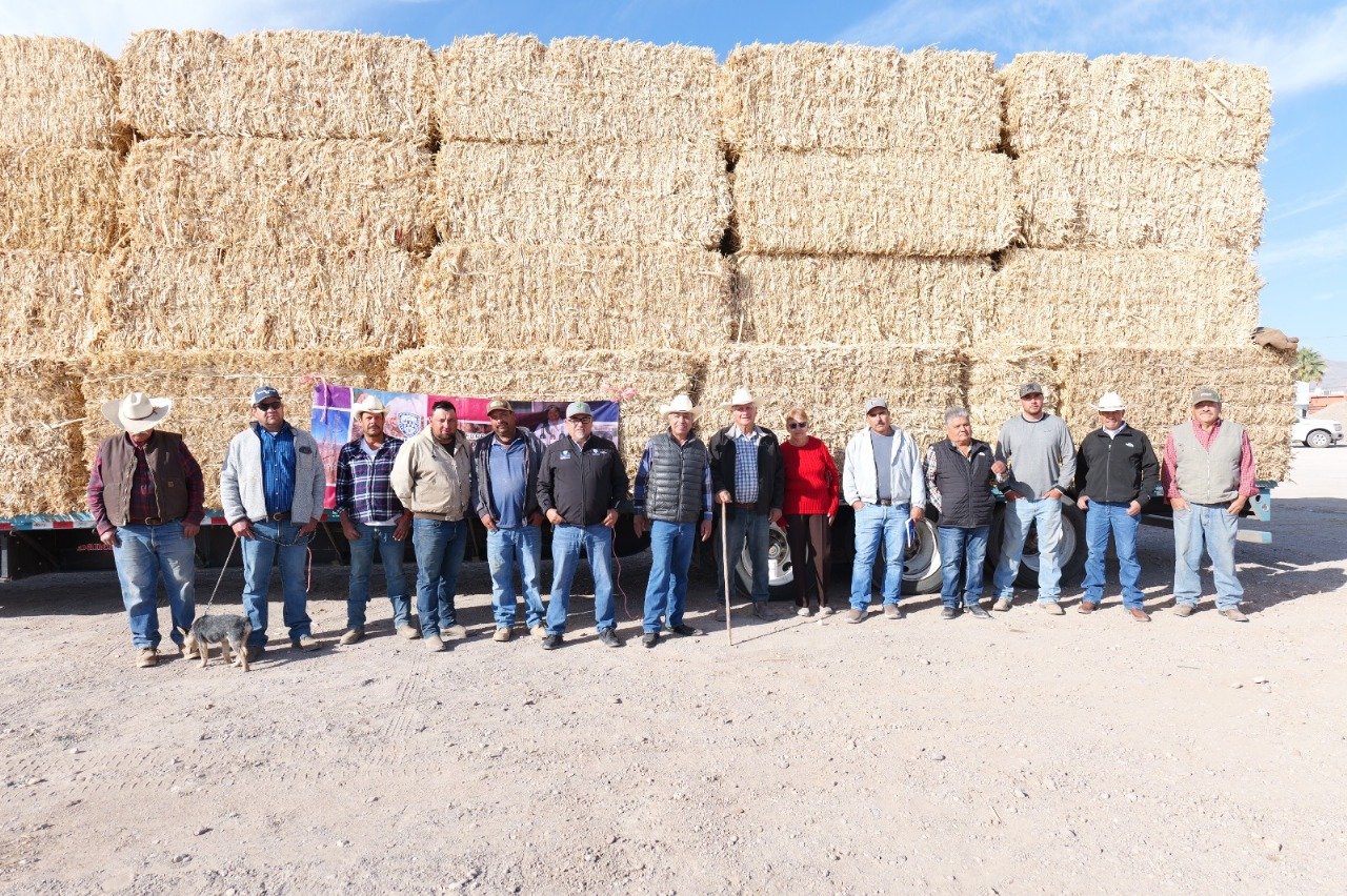 WhatsApp Image 2025-03-01 at 10.16.47 AM