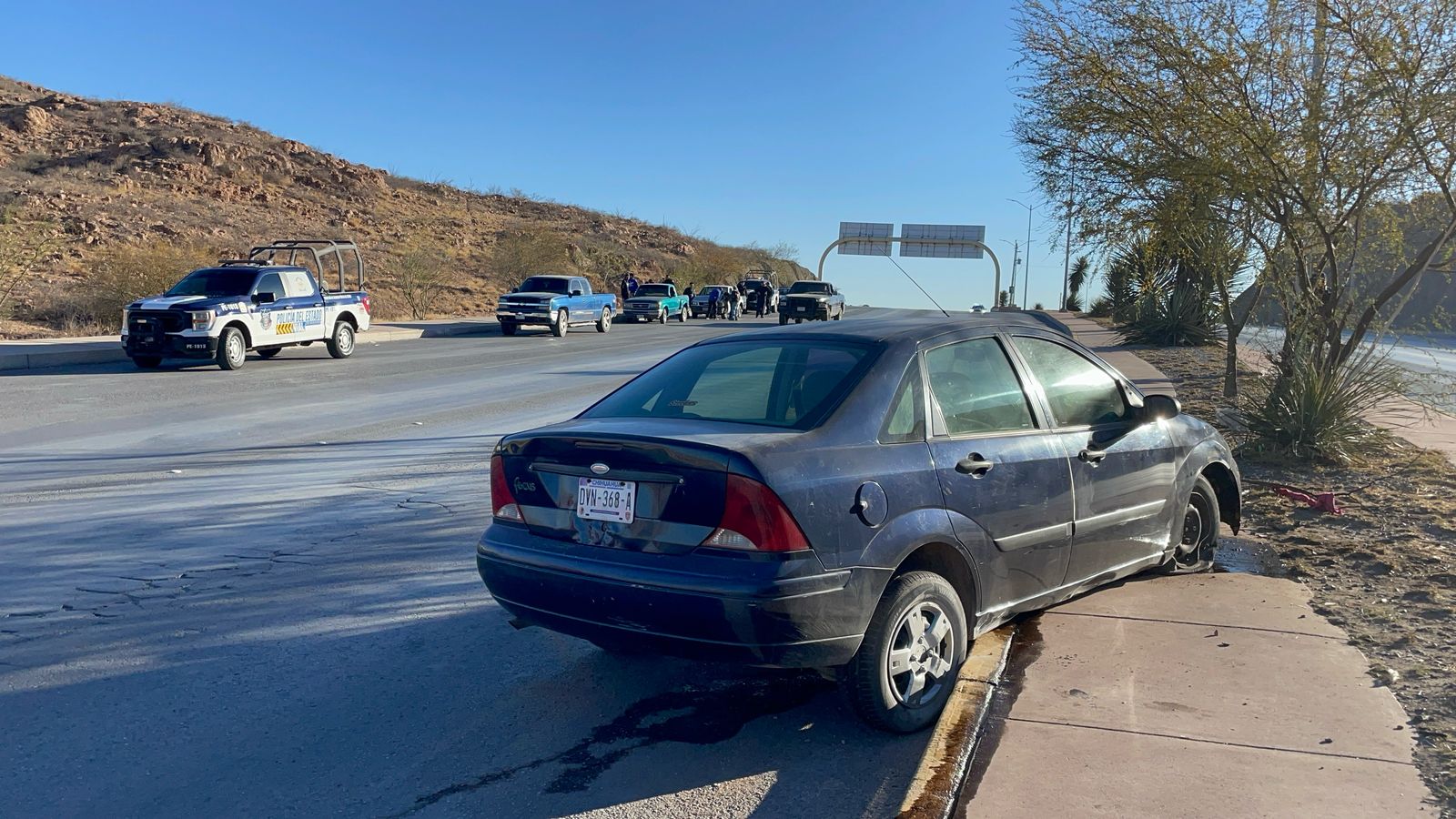 WhatsApp Image 2025-03-04 at 9.24.50 AM