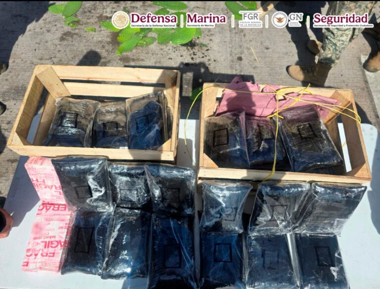 WhatsApp Image 2025-03-05 at 10.20.29 AM (1)