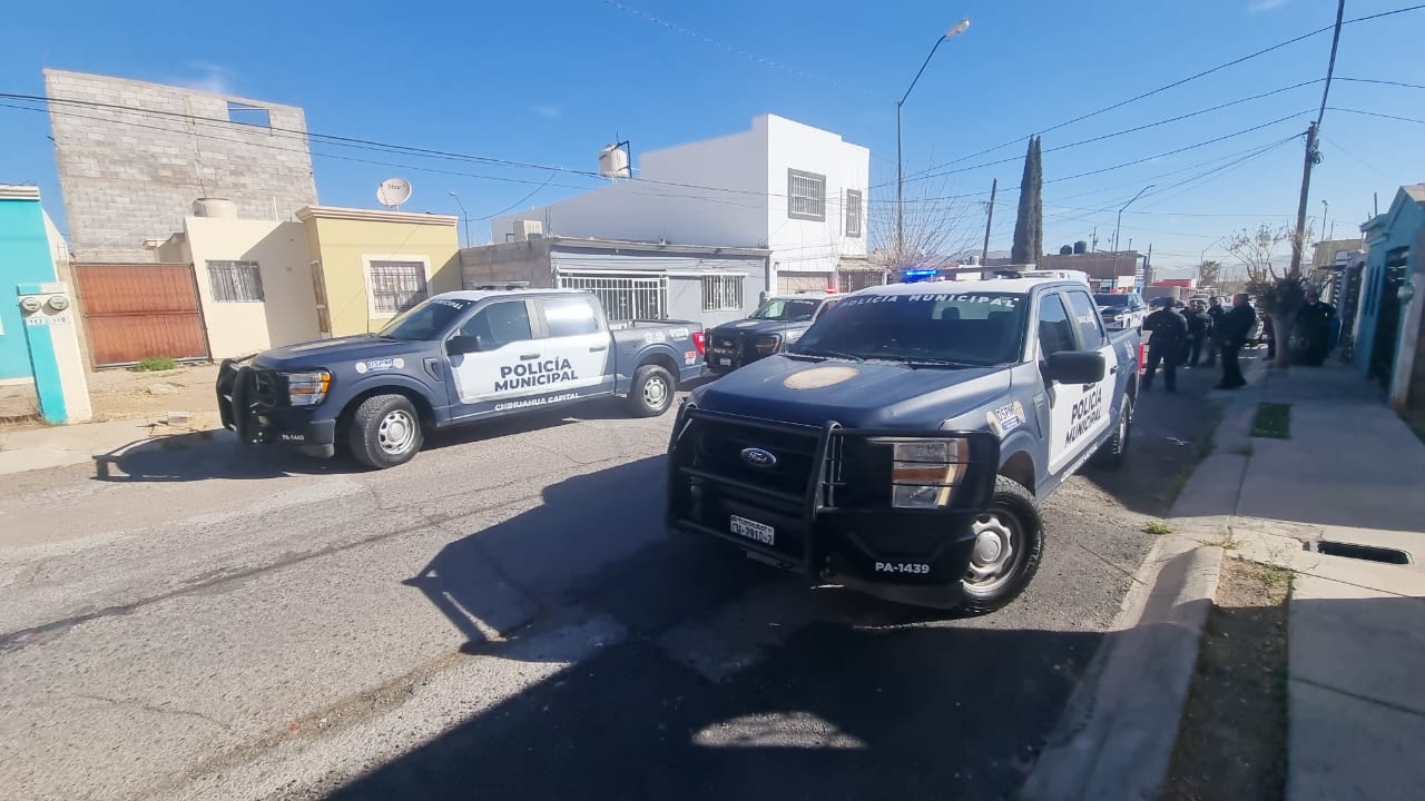 WhatsApp Image 2025-03-05 at 10.23.58 AM