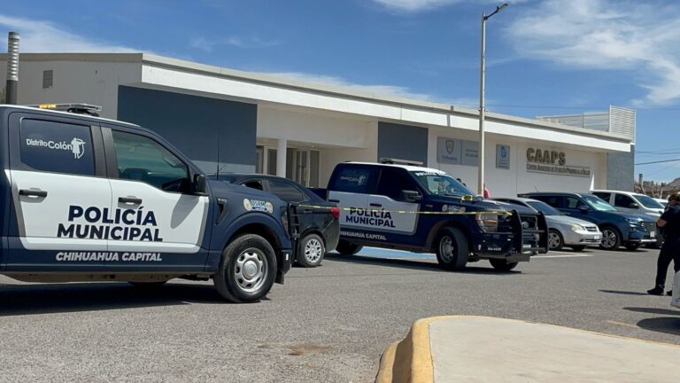 WhatsApp Image 2025-03-05 at 12.57.11 PM