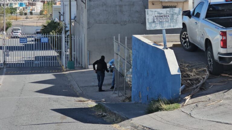 WhatsApp Image 2025-03-11 at 10.59.25 AM