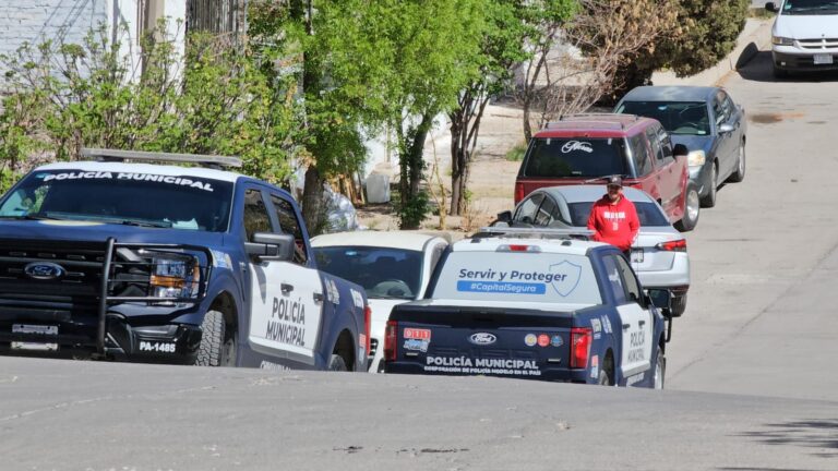 WhatsApp Image 2025-03-11 at 12.35.47 PM