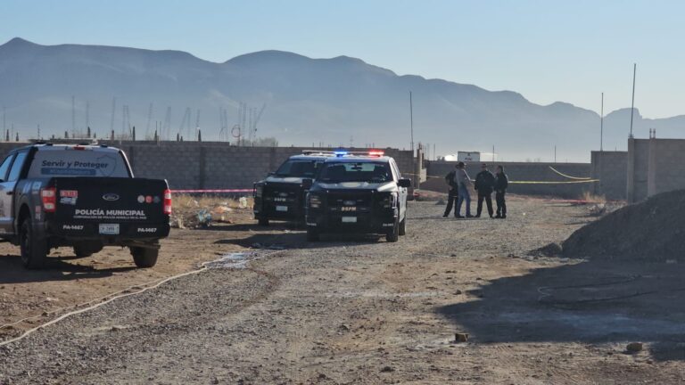 WhatsApp Image 2025-03-11 at 9.12.36 AM