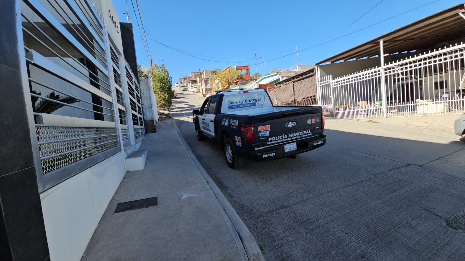 WhatsApp Image 2025-03-12 at 10.38.31 AM