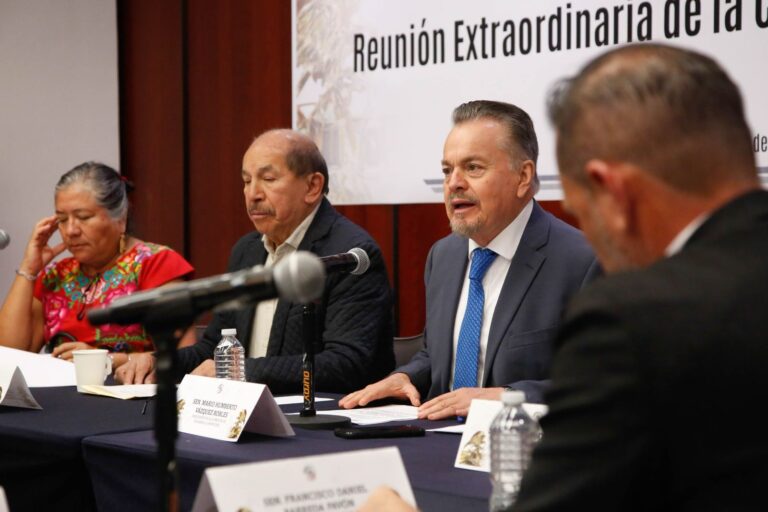 WhatsApp Image 2025-03-12 at 11.30.33 AM