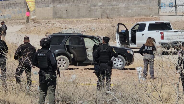 WhatsApp Image 2025-03-12 at 2.25.14 PM