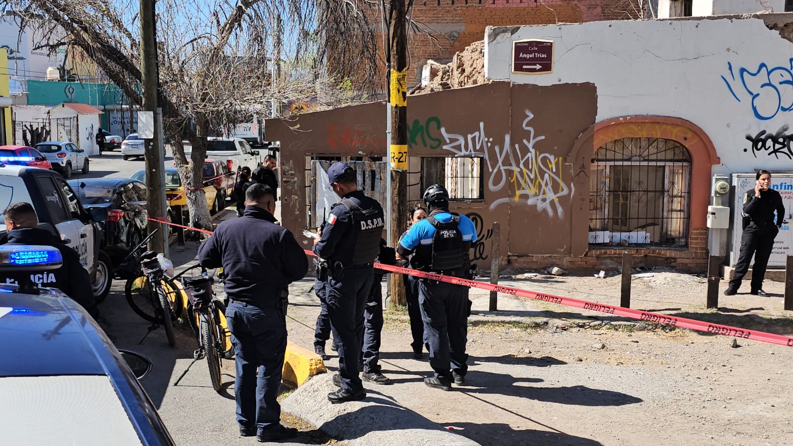 WhatsApp Image 2025-03-12 at 3.39.45 PM