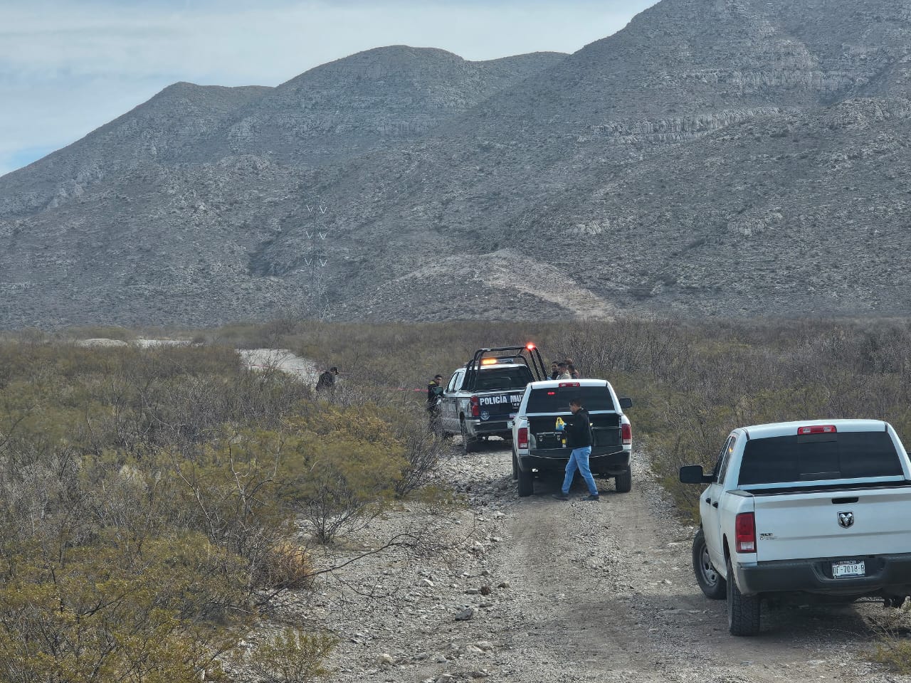 WhatsApp Image 2025-03-17 at 10.33.37 AM