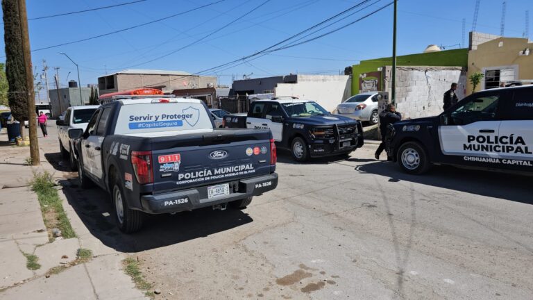 WhatsApp Image 2025-03-19 at 12.17.50 PM