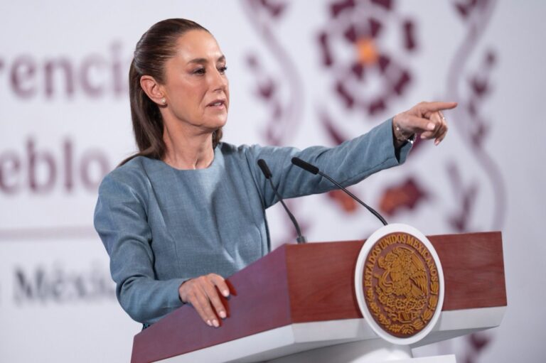 WhatsApp Image 2025-03-24 at 11.56.38 AM