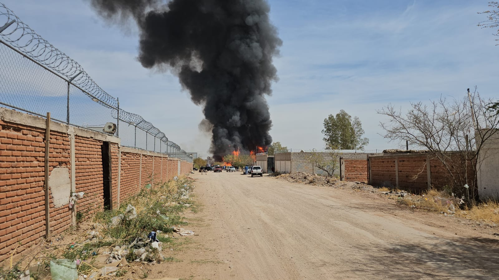 WhatsApp Image 2025-03-25 at 12.07.39 PM (2)