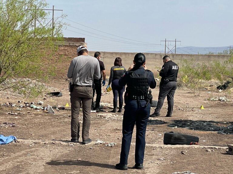 WhatsApp Image 2025-03-26 at 11.12.51 AM