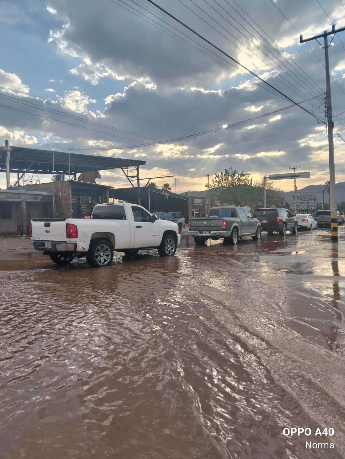 WhatsApp Image 2025-03-27 at 11.28.12 AM