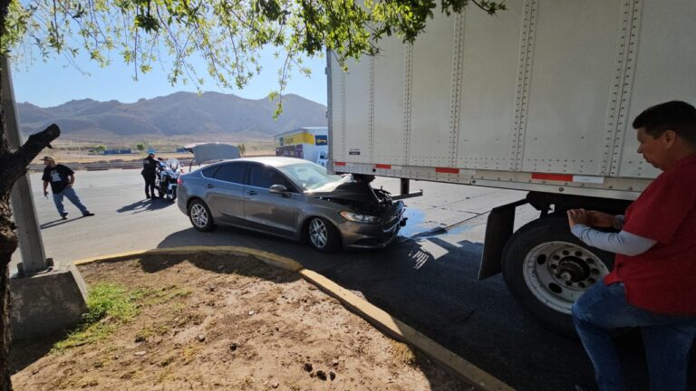 WhatsApp Image 2025-03-28 at 8.33.18 AM