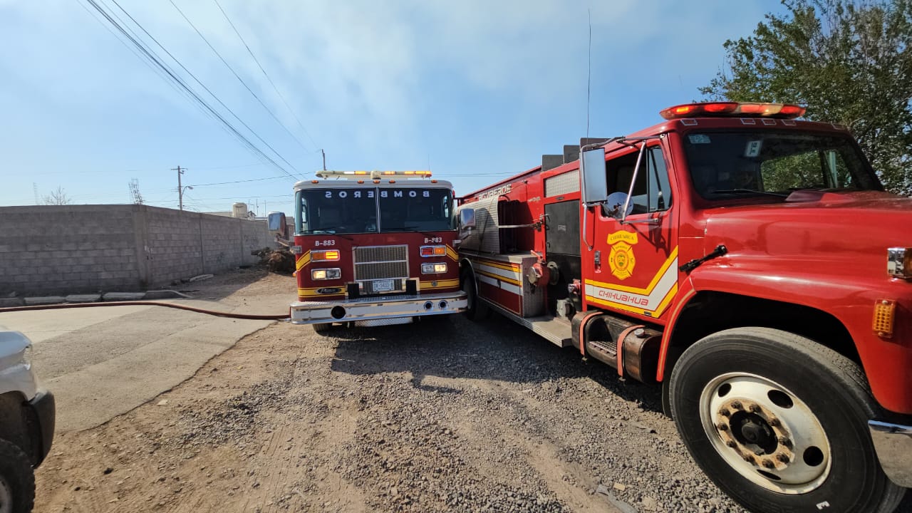 WhatsApp Image 2025-03-28 at 9.07.39 AM