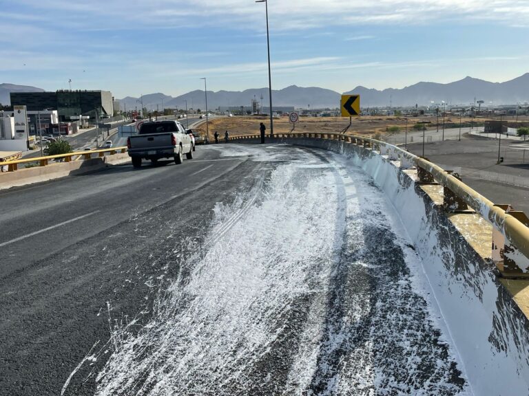 WhatsApp Image 2025-04-01 at 9.18.43 AM