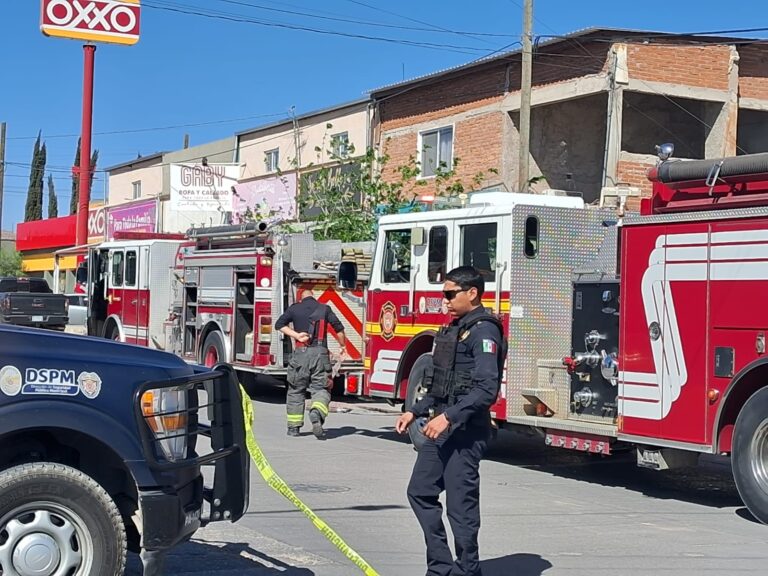 WhatsApp Image 2025-04-03 at 10.21.58 AM