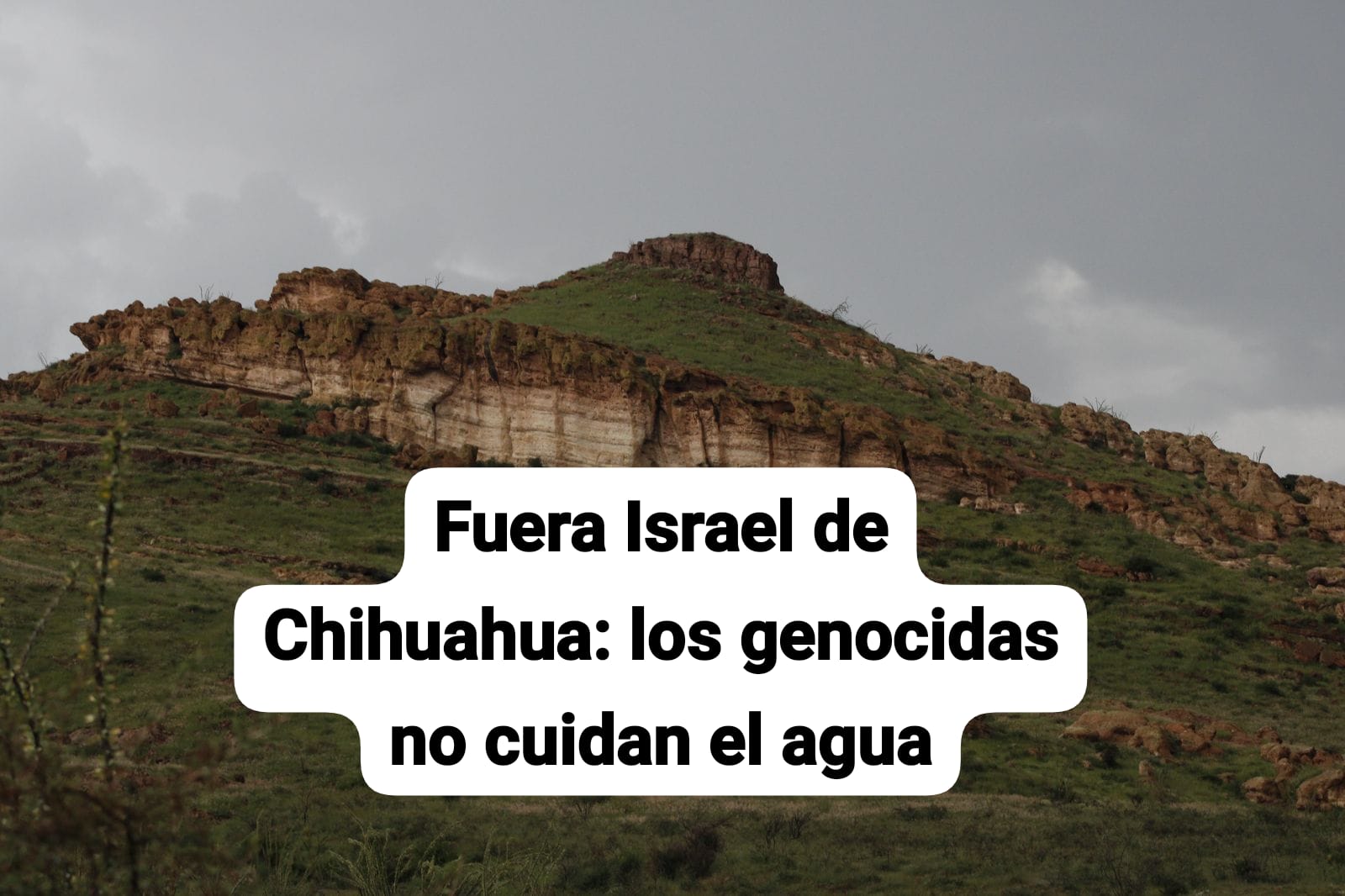 WhatsApp Image 2025-04-03 at 11.32.56 AM