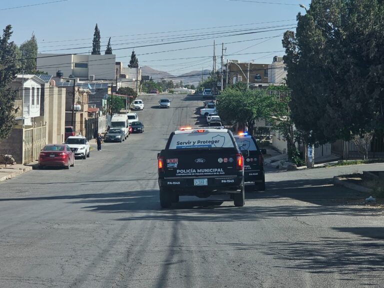 WhatsApp Image 2025-04-04 at 1.07.50 PM