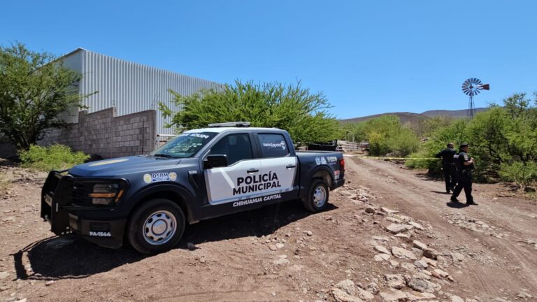 WhatsApp Image 2025-04-07 at 1.23.17 PM