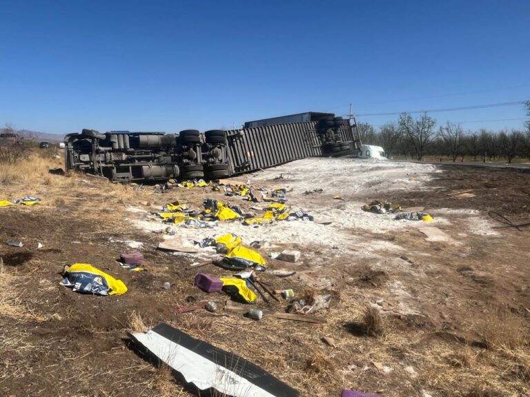 WhatsApp Image 2025-04-10 at 11.52.02 AM