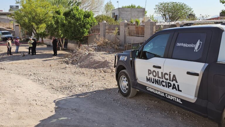 WhatsApp Image 2025-04-11 at 9.14.29 AM