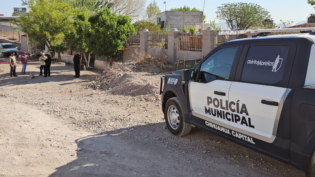 WhatsApp Image 2025-04-11 at 9.14.29 AM