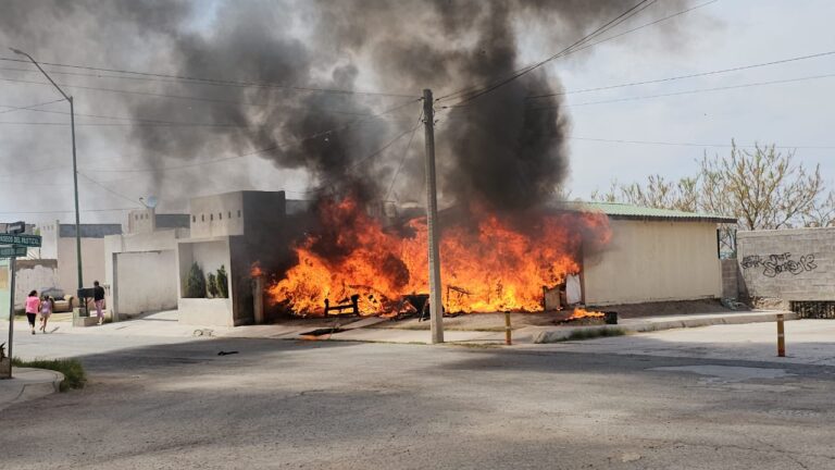 WhatsApp Image 2025-04-14 at 1.55.23 PM