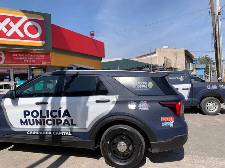 WhatsApp Image 2025-04-14 at 10.49.24 AM